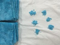 IMG_1550.jpg IMG_1550.jpg