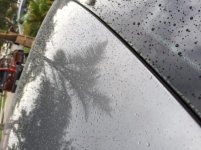 IMG_3422.jpg IMG_3422.jpg