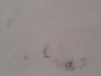 SAM_0207.jpg SAM_0207.jpg