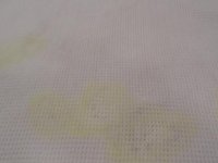 SAM_0209.jpg SAM_0209.jpg