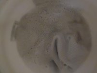 SAM_0210.jpg SAM_0210.jpg